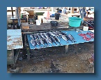 04 Fish Market